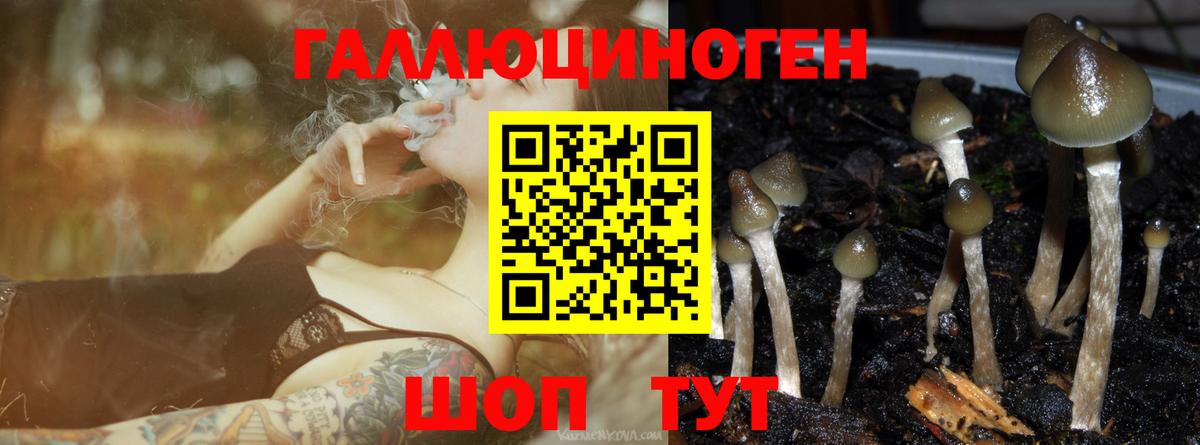 Галлюциногенные грибы мицелий  Псилоцибиновые грибы Magic Shrooms  наркотики  Вход с VPN  Грязи 